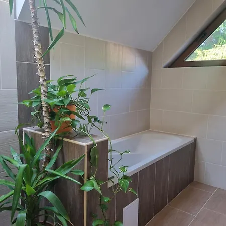 Bambi Apartament *