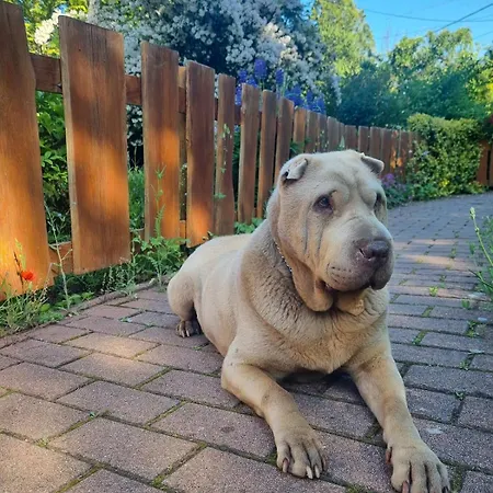 Appartamento Bámbi Harsány